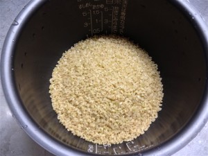 FANCL(ファンケル)の発芽米を炊いてみる