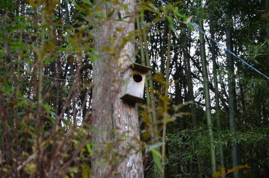 樹木にはこの様にムササビ用の巣箱が設置されています