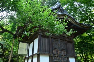旧天瑞寺寿塔覆堂(きゅうてんずいじ　じゅとうおおいどう)