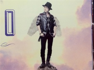 汚れた翼で(初回限定盤)(DVD付)SEAMOのアップ